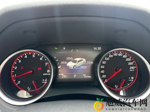 BBW丰满大肥奶肥婆:性感丰满女性身材展示-2