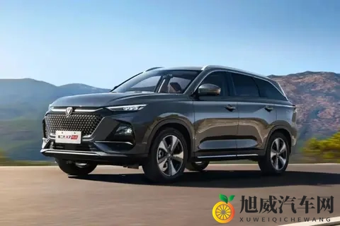 低价七座车盘点，价格不高，配置全面 过年回家全家都有座-1