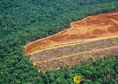 老头吃护士的奶头呻吟：智能驾驶新突破，汽车安全升级引期待-2