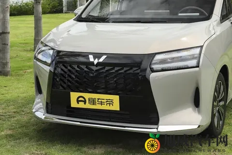 10万级的全能MPV！七座大空间+双侧电滑门，适合家用-2