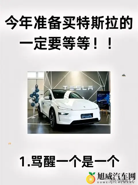 特斯拉车主血泪忠告：5个智商税坑2万，提车用车售后避坑指南-1