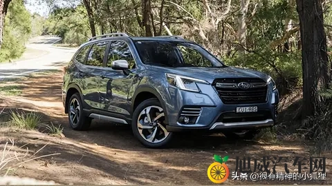 来看看澳大利亚最受欢迎的汽车-3