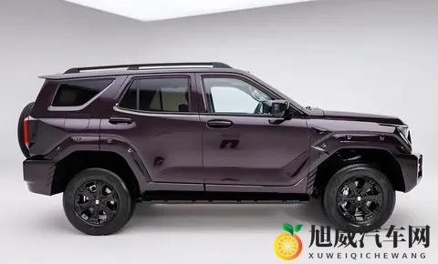 2498万起售 全新坦克400携全动力科技矩阵登陆硬派SUV市场-1