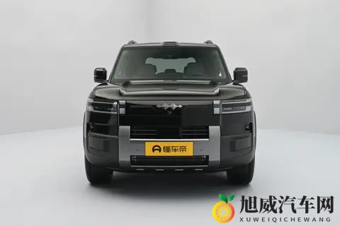 家庭用车选它不纠结！空间大、能耗低、续航长，带娃出行超省心-1