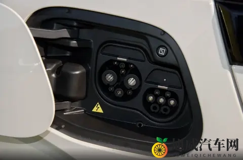 亚洲东方女人毛茸茸：东方亚洲女性独特毛绒魅力-3