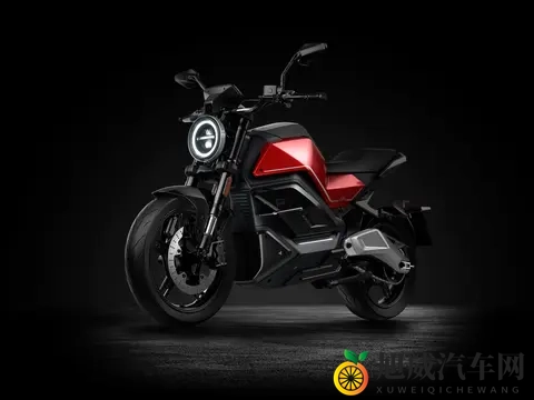 编译：2025 欧洲电动车市场、中国制造继续处于主导地位-2