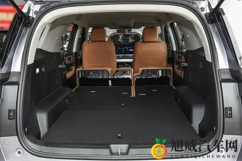 能拉货能越野，价格是坦克300的一半，配20T+8AT，分时四驱-1