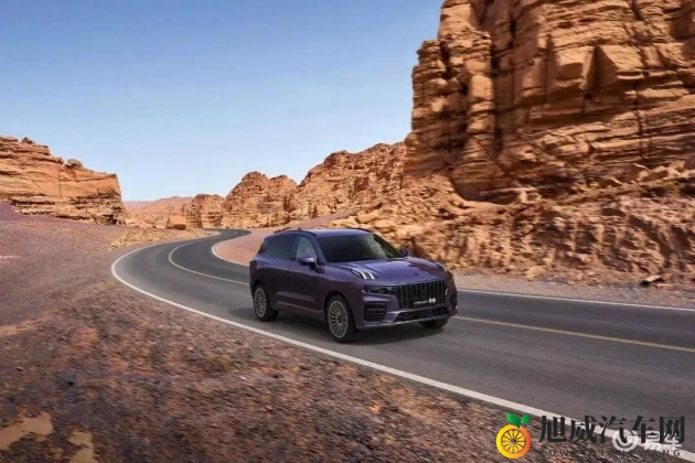 妈妈用手指在狗儿后背写字：妈妈指尖书写爱意，狗狗背脊成文字-1