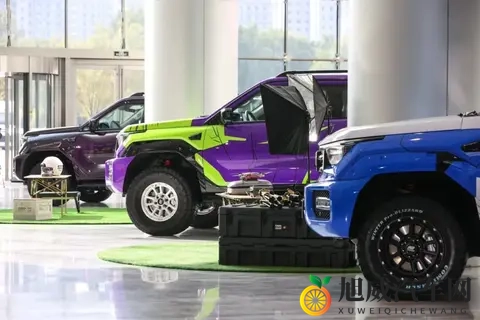 全新坦克400 四种动力如何选？  购车分析-3