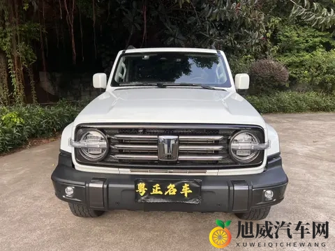 16万多拿下准新坦克300，圆你硬派越野梦！-1