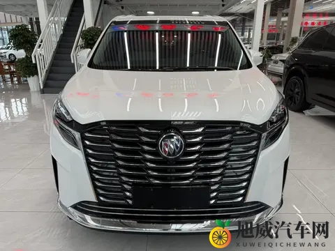 宜商宜家好选择，准新一手别克GL8陆尊-3