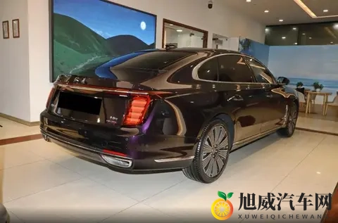 二十多万的豪华C级车，入门即高配，红旗H9选购指南来了-3
