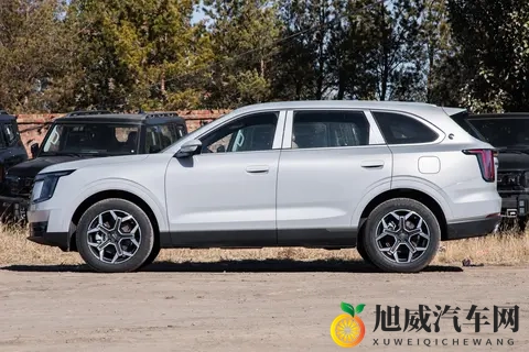 适合家用的7座SUV，空间大，配置高，关键价格还不贵！-2