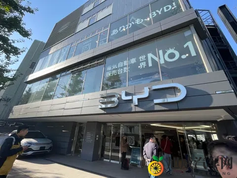 跟一位日本比亚迪车主聊了聊,才明白我们对「出海」有多天真-2