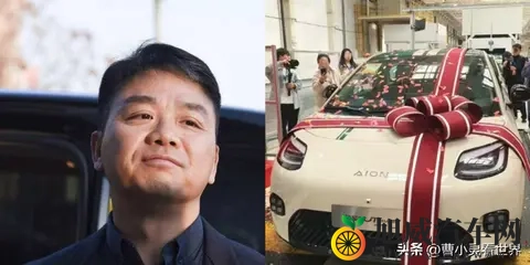 刘强东卖车499万，雷军慌了？-3