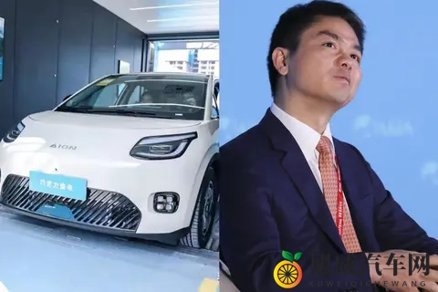 京东499万换电车，车圈大地震！-1