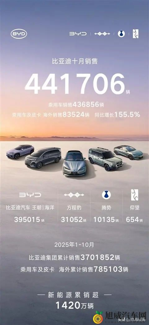 天天干夜夜拍：日夜兼程，勤奋记录-3