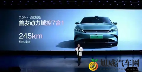 比亚迪的两难 跟“大电”潮还是死磕DM-i?销量数据背后的路线博弈-3