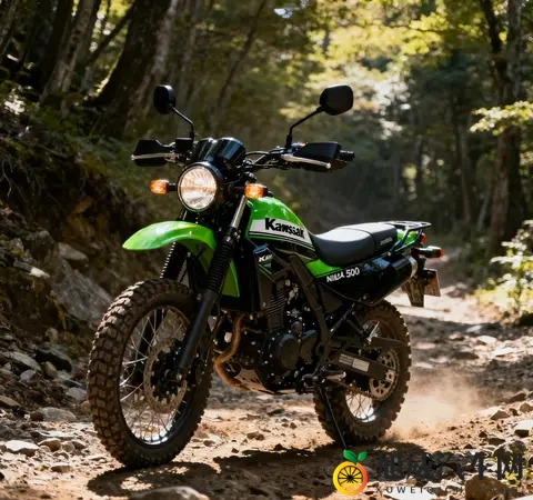 情怀与实力双加持 川崎KLE 500复活归来 搭NINJA 500动力平台征战中量-2