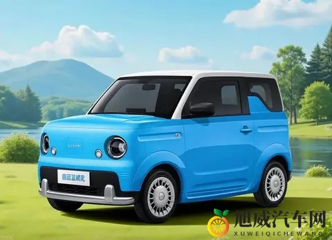 续航突破210km，8英寸大屏，全新睿蓝新车女生完全抵抗不了-2