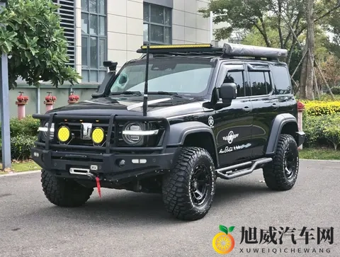 陈丽佳专辑《灯》艺术:《灯》专辑:陈丽佳艺术之旅-3