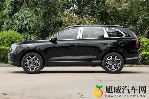 提车一个月,这台大七座SUV到底值不值?聊聊它的“硬核一面”-2