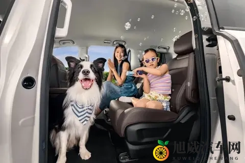 10万级MPV推荐，真7座+电滑门，动力配置多选，家用很合适-2