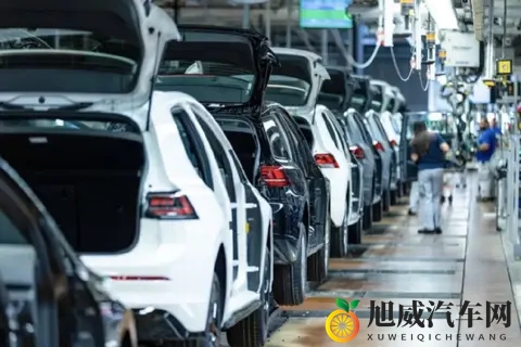 每卖两辆新车就有一辆电动车，中国用户忠诚度高达99%-1