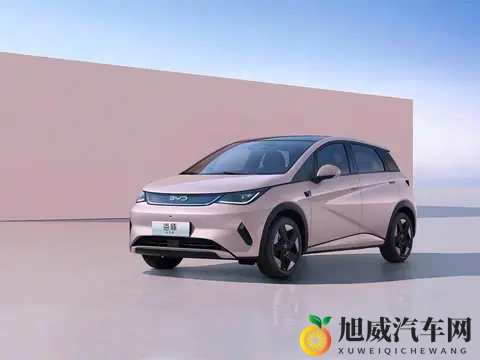 10万预算买纯电车，这五款“销量王”值得一看！-2