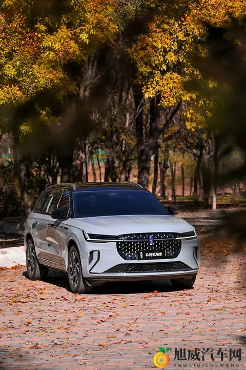 40岁少妇按摩推油经历:汽车养护秘籍:深度体验舒适驾驶之道-3