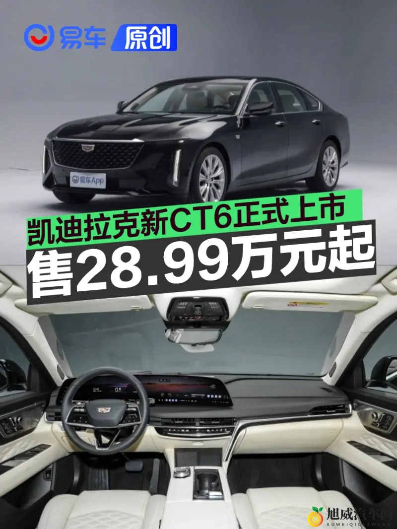 真人拔萝卜:汽车上市惊喜活动,趣味拔萝卜赢新车-2