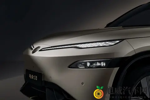 大众与众08工信部信息公示 明年正式投产-1