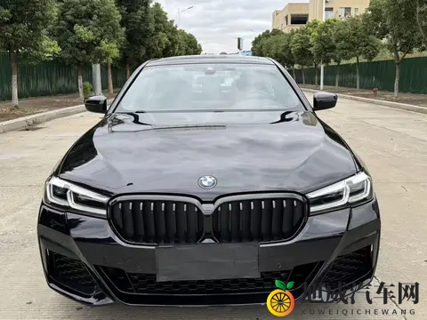 成人影视av:科技赋能艺术,汽车设计新潮流-2