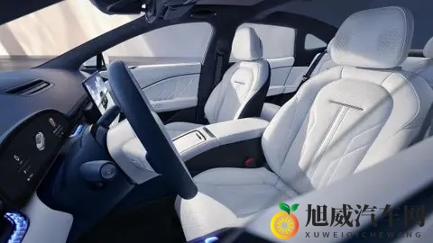 Nappa真皮普及背后:车企宣传的“文字游戏”该停了-3