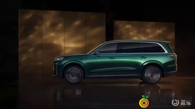 黑人与娇小又粗又大：性能卓越设计独特，这类车型成市场新宠-1