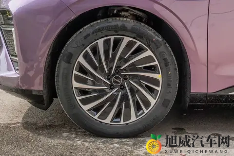 全家试驾星纪元ET，3000mm轴距真能装下幸福？全景天幕+飞鱼底盘-1