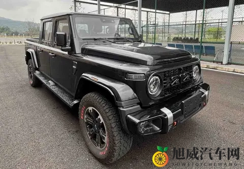 复古硬派皮卡上新!212探境者01申报曝光-2