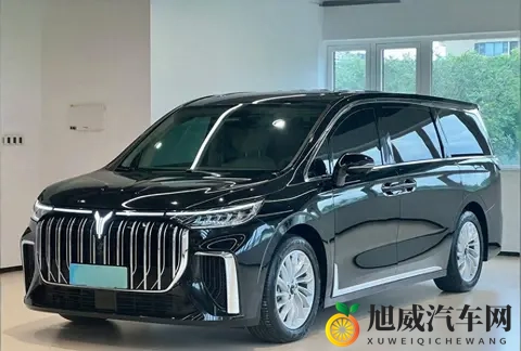 2025年Q3 MPV销量洗牌：谁在逆袭，谁已掉队？-1