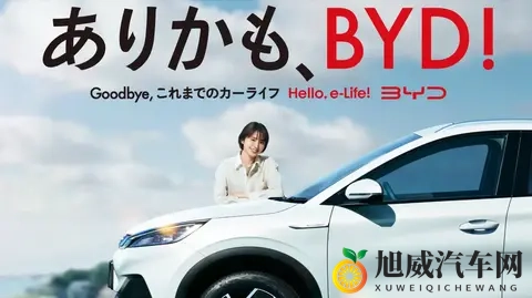 何小鹏：10年后中国汽车品牌是5强和Others，你觉得是哪5家？-3