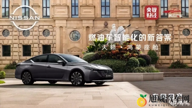 一脱二摸三亲四桶：轻松选车秘诀，四步教你挑出心仪爱车-1