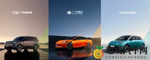 冯兴亚“不设上限”支持，广汽昊铂仍是边缘品牌-2