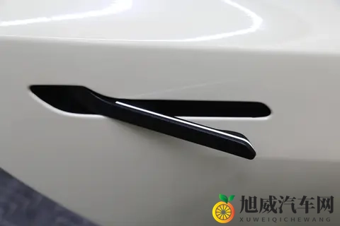 碰撞起火、车门打不开致5死！特斯拉遭起诉-2