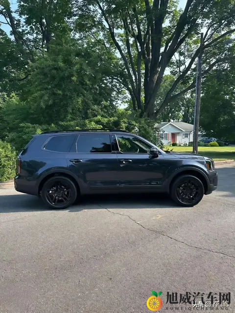 起亚Telluride：一场针对北美市场的“精致投机”-3