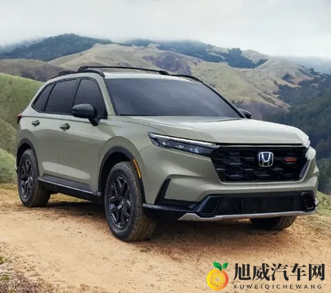 本田皓影这回可是栽大跟头啦-1