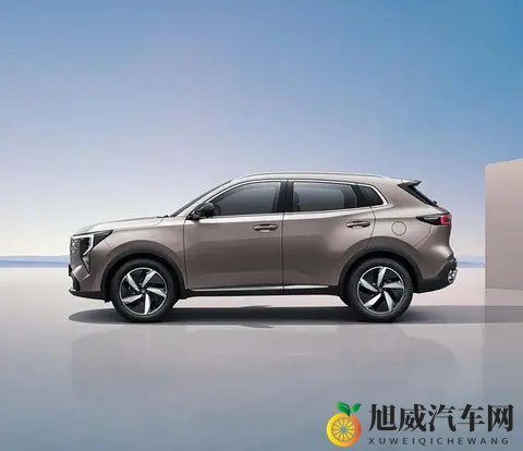 黄黄软件：黄黄软件新升级，功能全面再升级-3