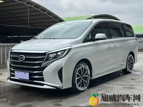 准新一手传祺M8:23款390T豪华版,142万宜商宜家!-3