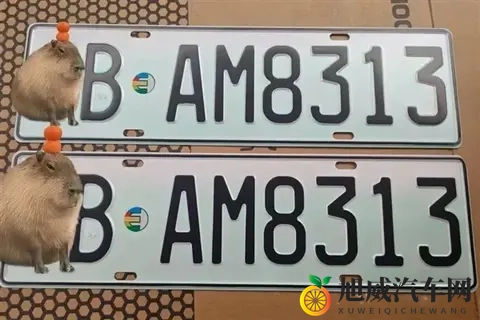 新能源绿牌用“UV灯”照射后能变白牌 网友：帅 但蜀黍不认-2