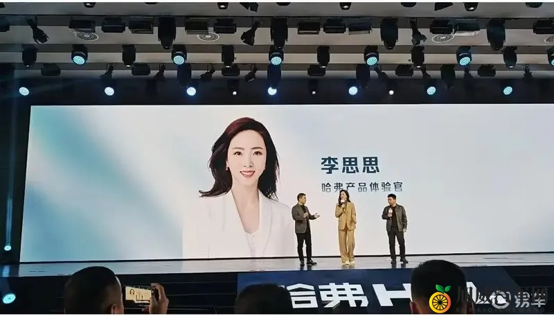 哈弗H6L上市，重塑价值标杆，家用SUV市场迎来新变革-1