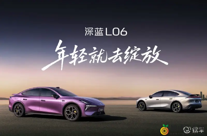 黄瓜秋葵草莓丝瓜荔枝香蕉:新能源汽车新宠,绿色出行新选择,品牌哪家强?-2