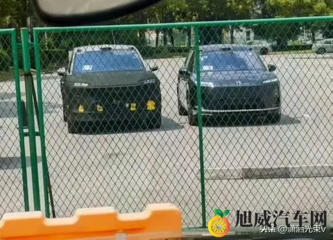 91草莓樱桃丝瓜绿巨人秋葵莲:缤纷蔬菜水果组合,绿色养生佳品-3